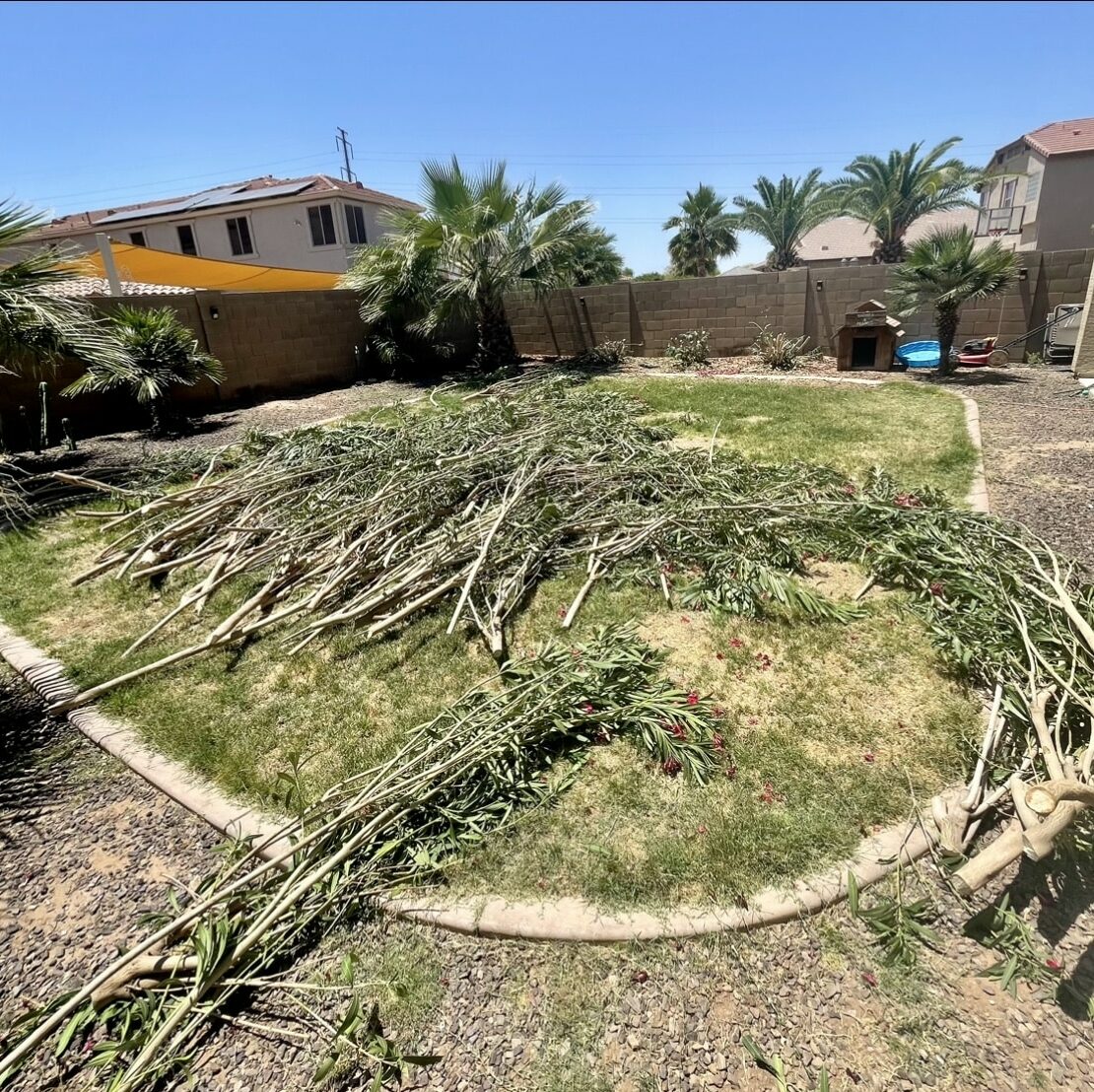 Playset Removal Services Red Rock Junk