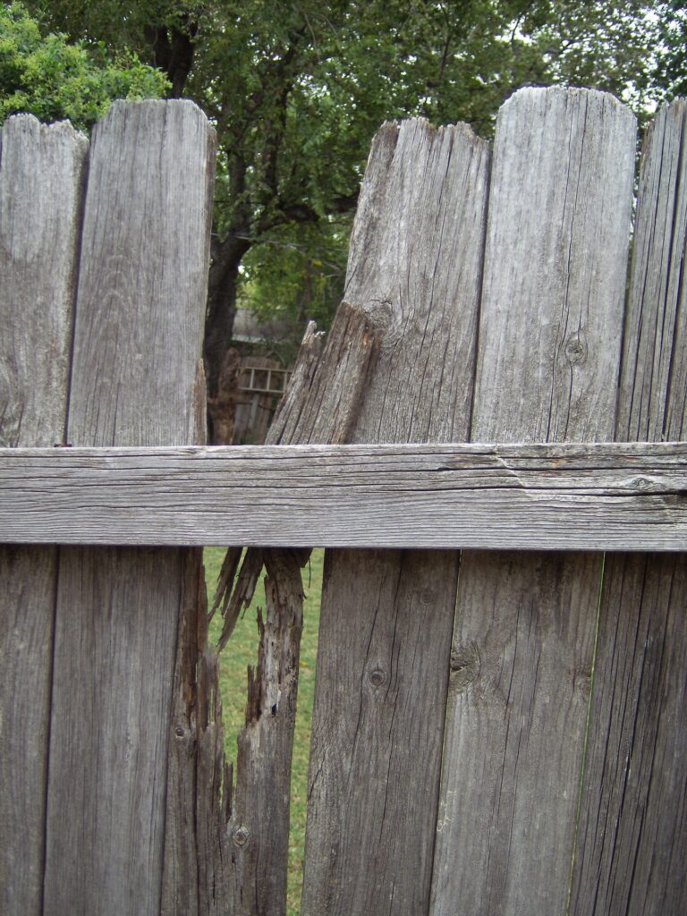 fence 206256 1920